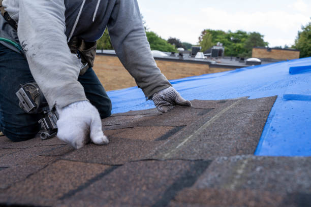 Best Residential Roofing Contractor  in Wellington, KS